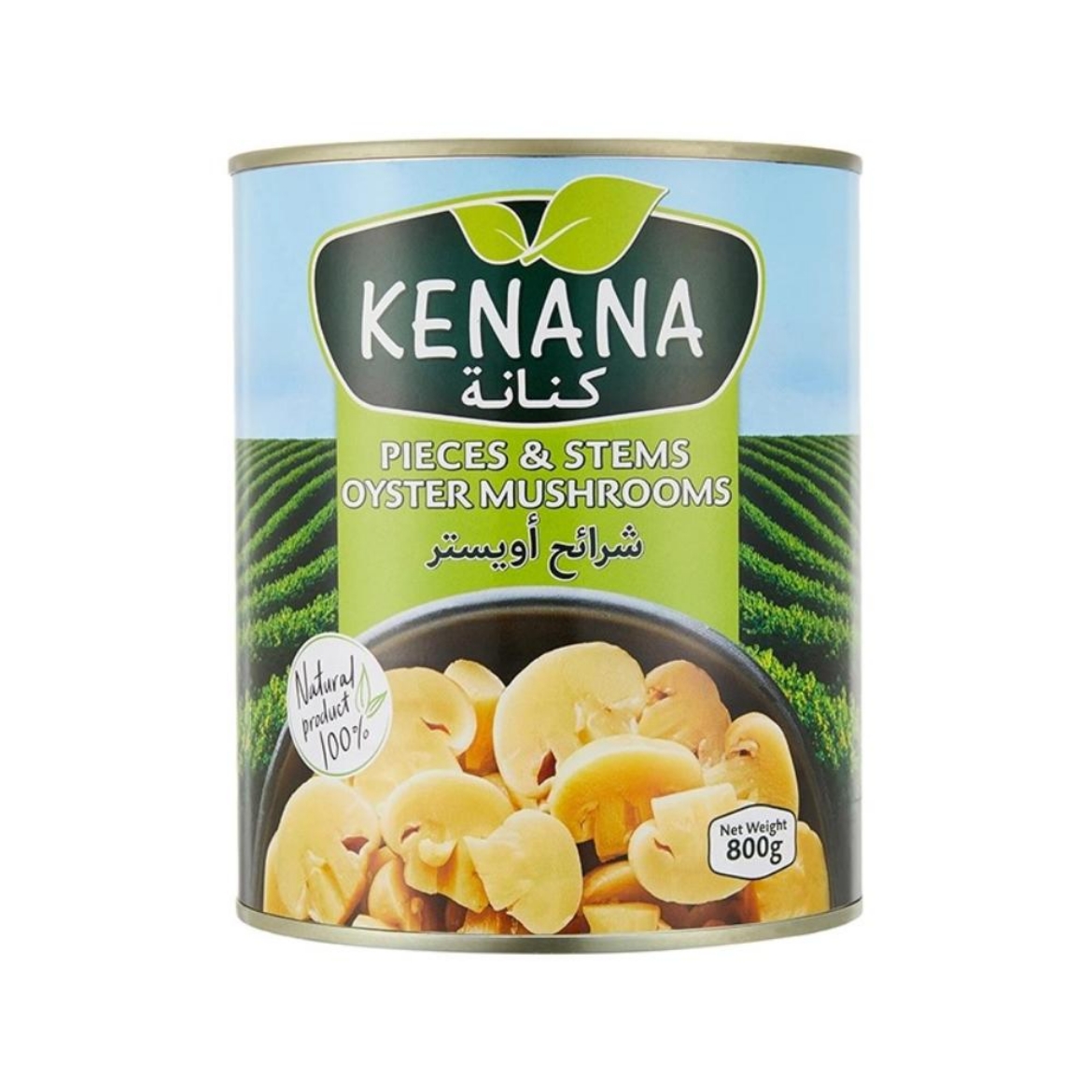 Picture of Kenana mushroom slices 800g