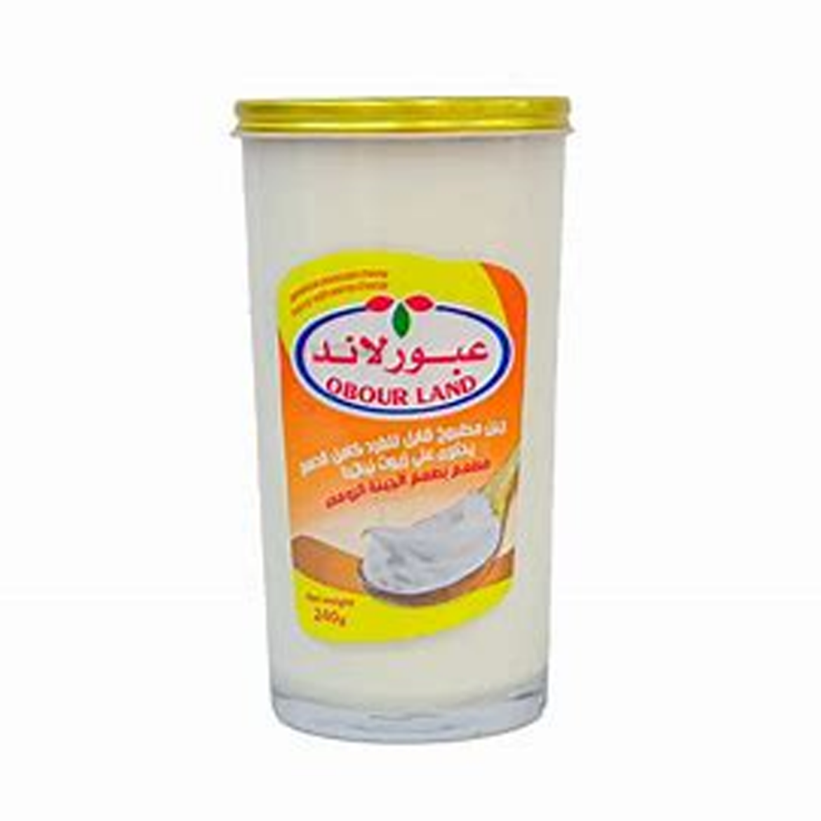 Picture of Obour Land Cheese Rumi Processed cap  240g