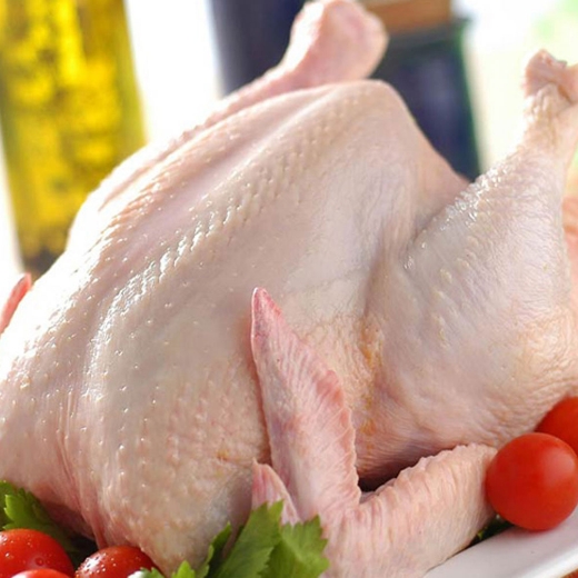 Picture for category Frozen Poultry