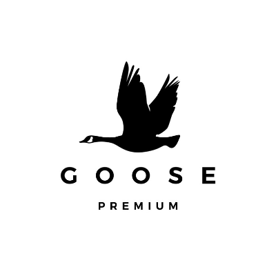 Picture for manufacturer Flying Goose