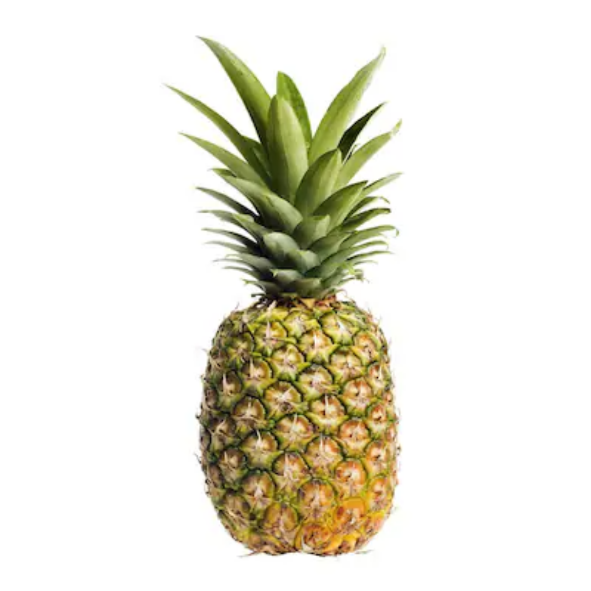 Picture of ananas shgr