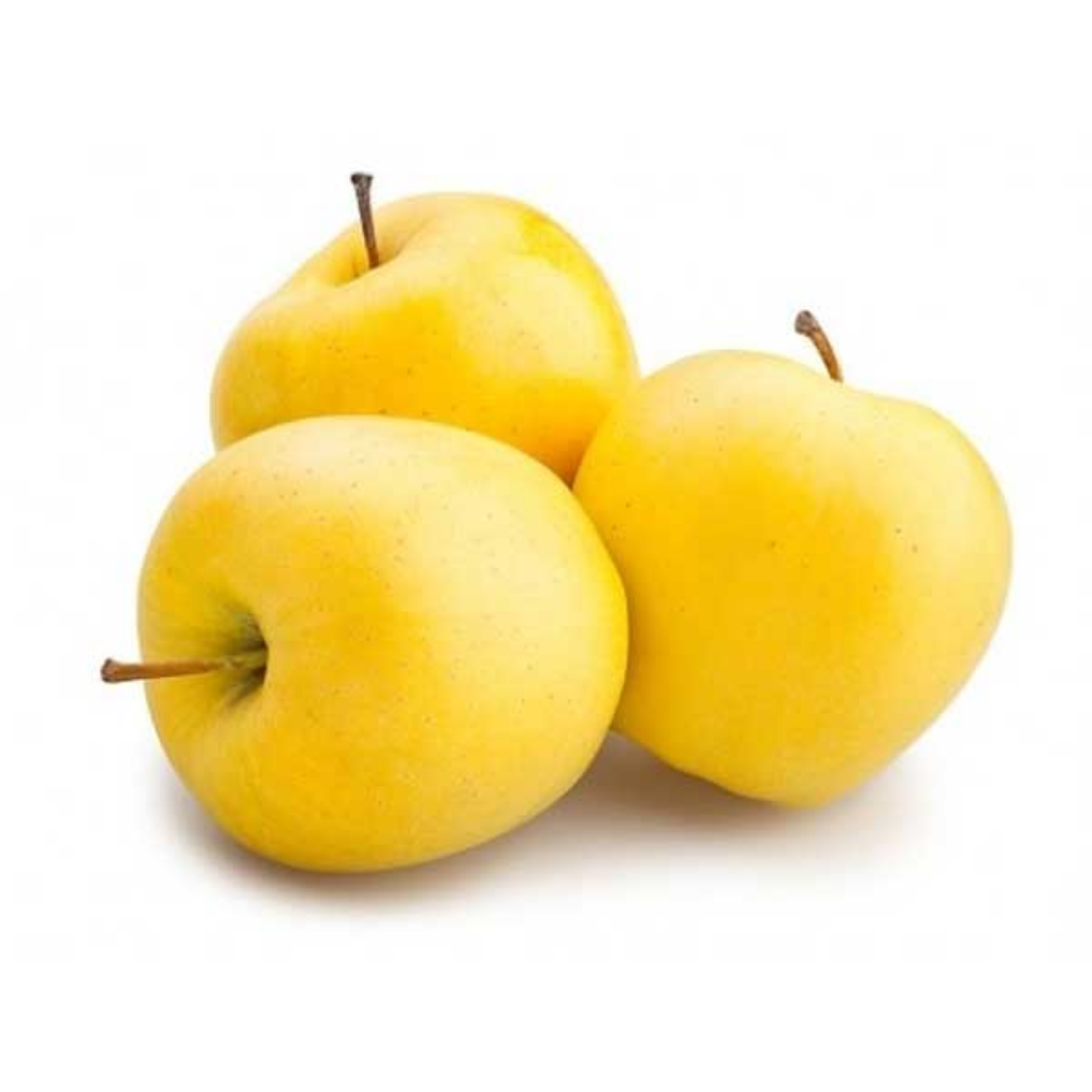 Picture of tofah  goldn