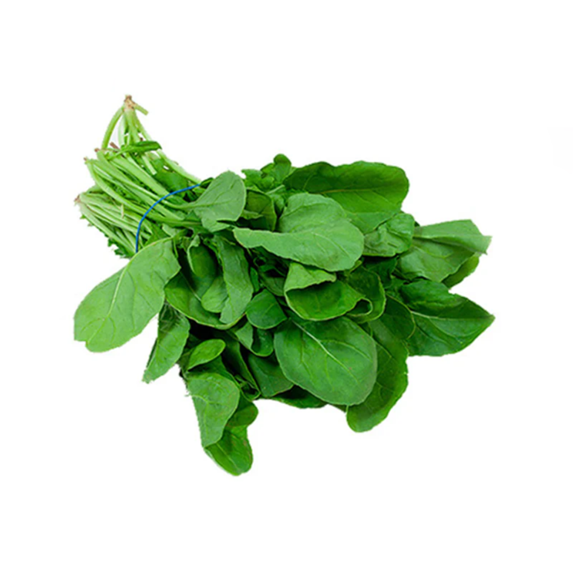 Picture of grgyr