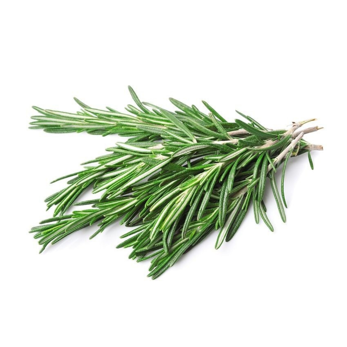 Picture of roz mary