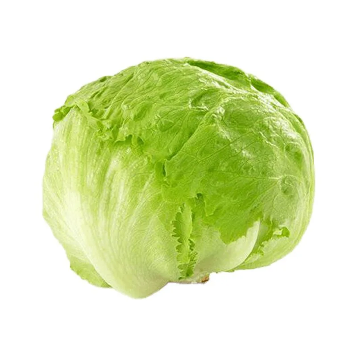 Picture of kabotsha
