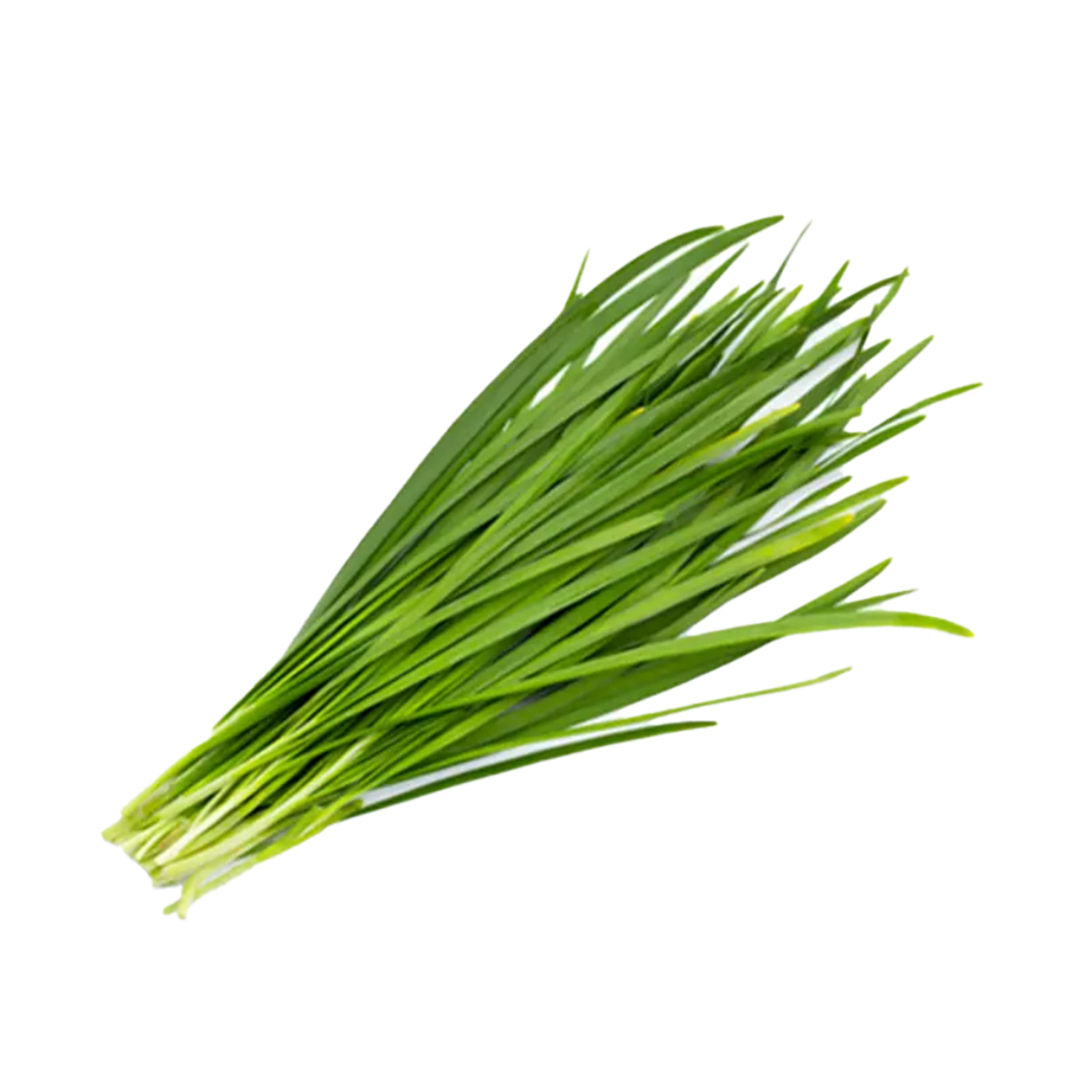 Picture of krath