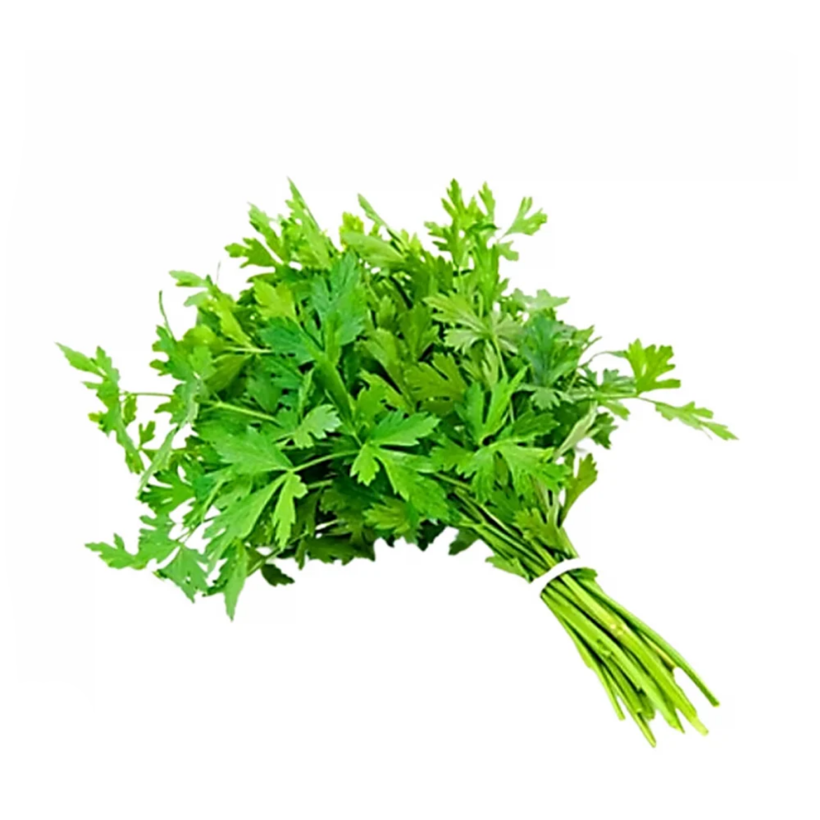 Picture of krfs