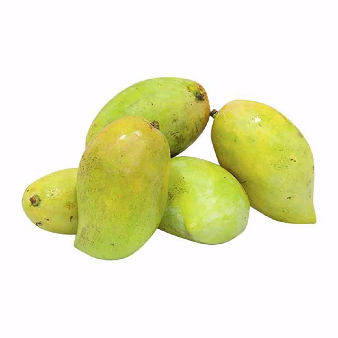 Picture of mango sdykah