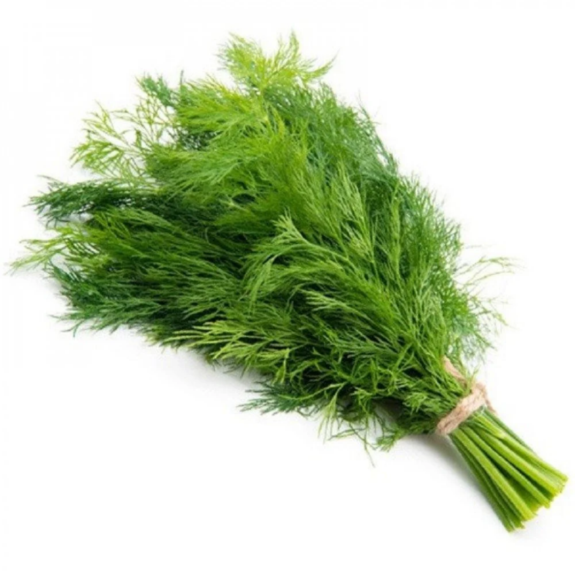 Picture of dill Tie