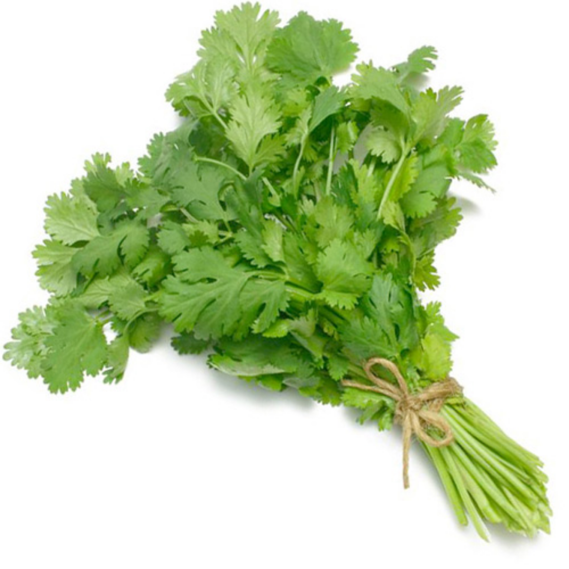 Picture of coriander Tie