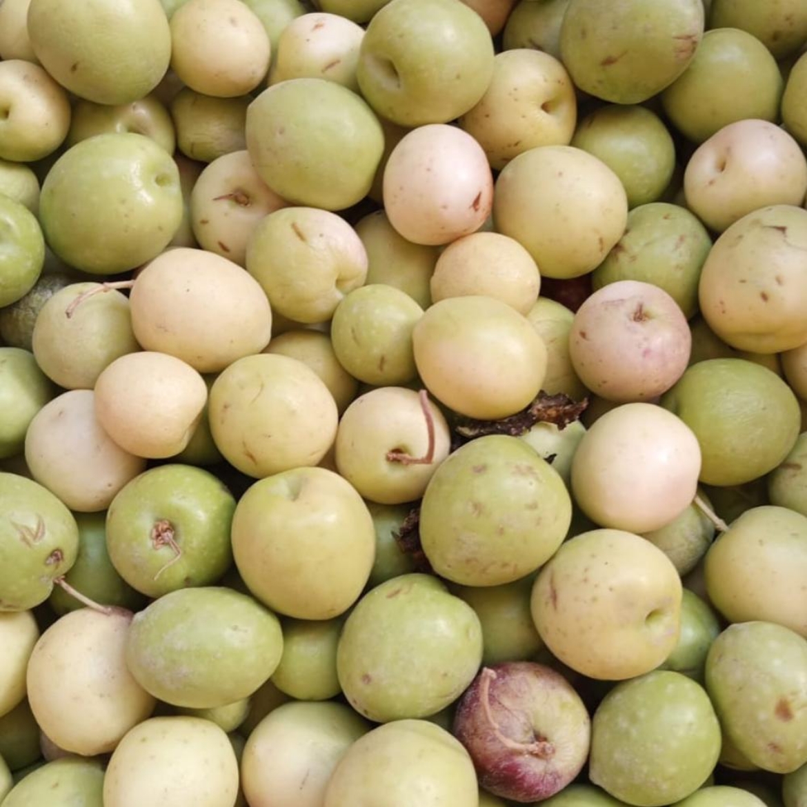 Picture of 1 kg apple olives
