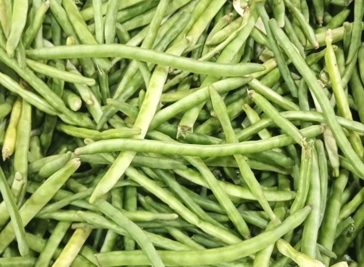 Picture of 1 kg of beans