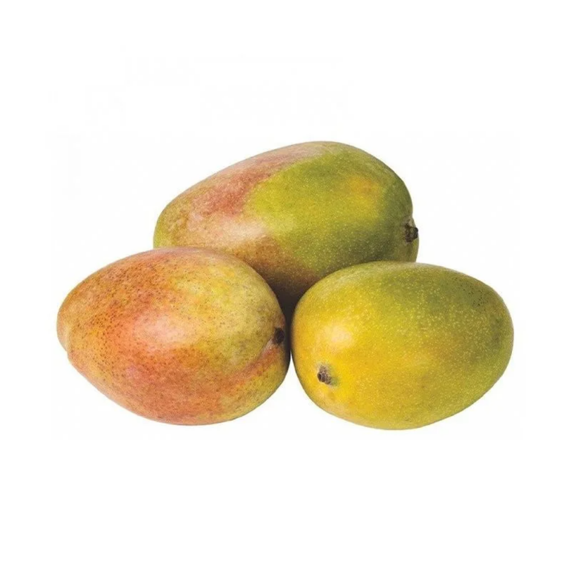 صورة مانجو كريمى وزن