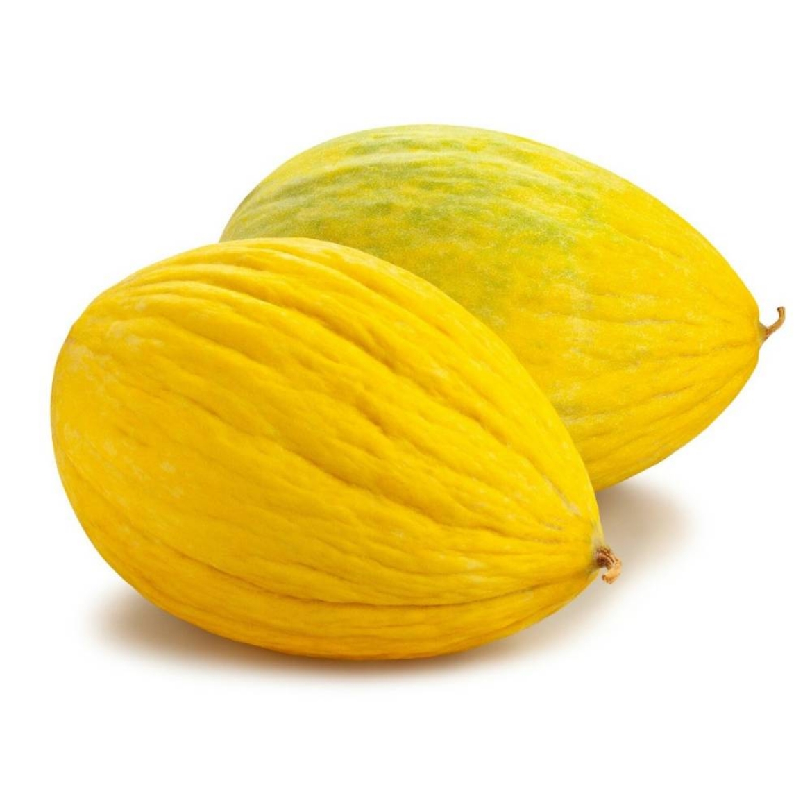 صورة كناري وزن